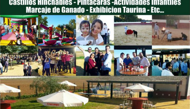 Hermandad de Sevilla Sur – II Jornada Campera