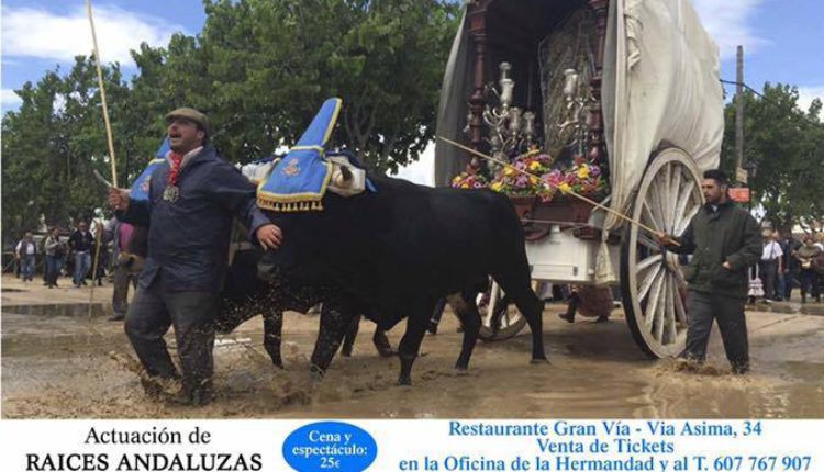 Hermandad de Palma de Mallorca – Fiesta Rociera el Hermano Mayor