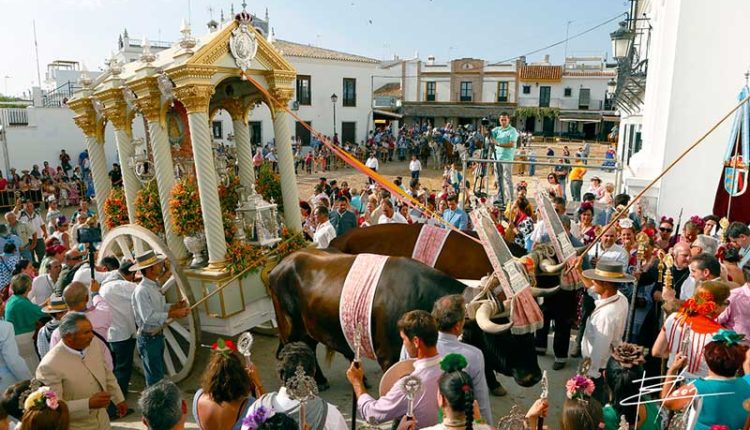 Peregrinaciones Extraordinarias de las Hermandades del Rocío del sábado 27 y domingo 28 de septiembre de 2025 – Misas en DIRECTO