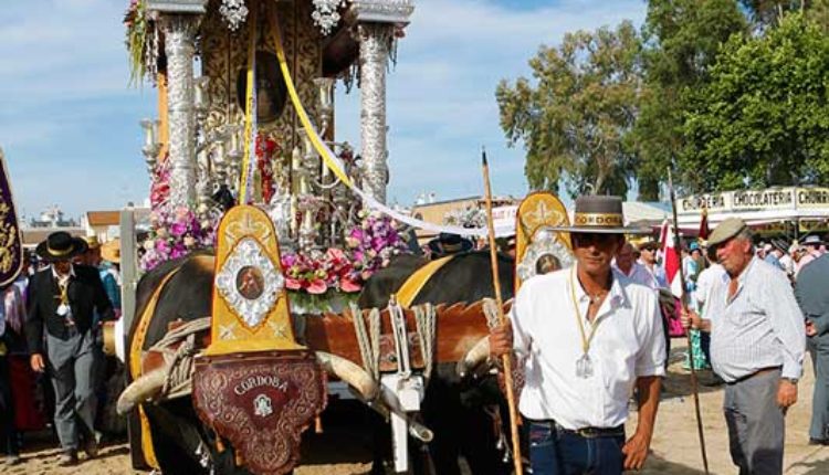 Peregrinaciones Extraordinarias de las Hermandades del Rocío del sábado 4 y domingo 5 de octubre de 2025 – Misas en DIRECTO