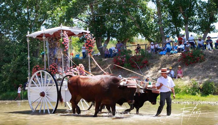 Peregrinaciones Extraordinarias de las Hermandades del Rocío del domingo 1 de octubre de 2017