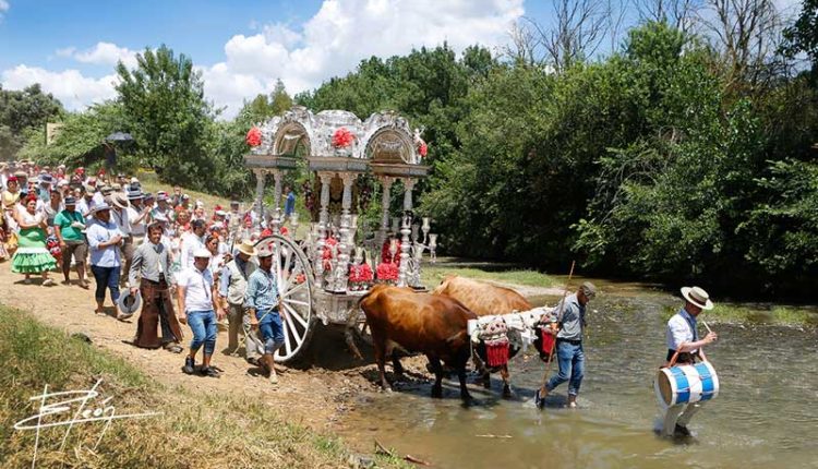 Peregrinaciones Extraordinarias al Rocío – Sábado 14 y domingo 15 de septiembre de 2024 – Misas en DIRECTO