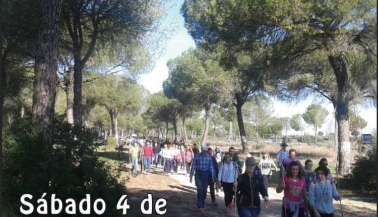 Hermandad de Bollullos par del Condado – Peregrinación al Rocío