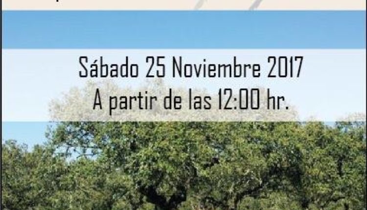Hermandad de Bollullos Par del Condado – Tostón Rociero