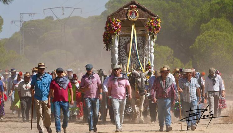Peregrinaciones Extraordinarias de las Hermandades del Rocío del sábado 25 y domingo 26 de octubre 2025 – Misas en DIRECTO