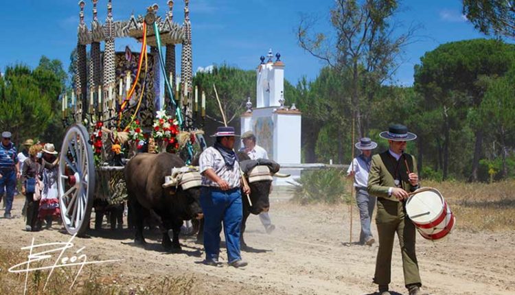 Peregrinaciones Extraordinarias de las Hermandades del Rocío del sábado 18 y domingo 19 de octubre 2025 – Misas en DIRECTO