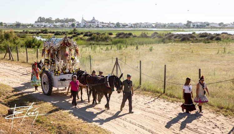 Peregrinaciones Extraordinarias Hermandades del Rocío del viernes 12 y domingo 14 de octubre de 2018
