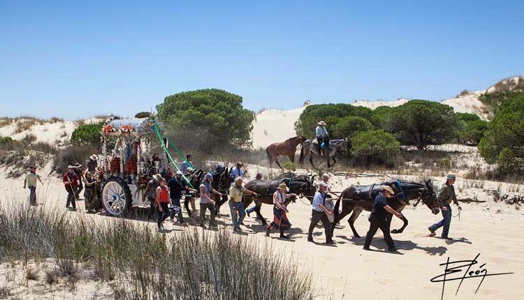 Salida de Hermandades al Rocío el lunes 14 de Mayo 2018