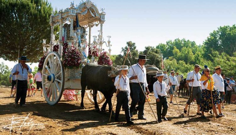 Peregrinaciones Extraordinarias de las Hermandades del Rocío del domingo 16 de octubre de 2022 – Misas en Directo