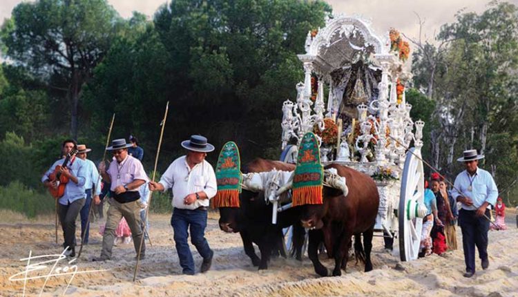 Peregrinaciones Extraordinarias de las Hermandades del Rocío del 12 y 13 de octubre 2024 – MISAS EN DIRECTO