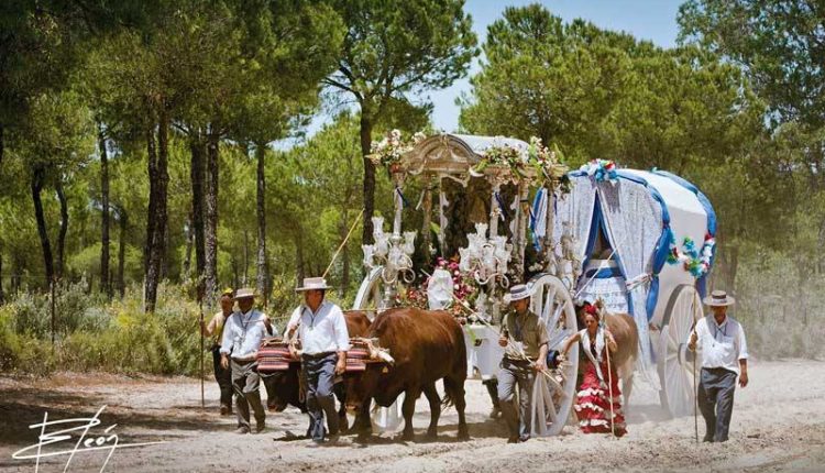 Peregrinaciones Extraordinarias de las Hermandades del Rocío del  domingo 3 de diciembre de 2017