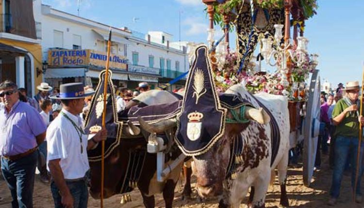 Peregrinaciones Extraordinarias de las Hermandades del Rocío del domingo 27 de noviembre de 2022 – Misas en Directo