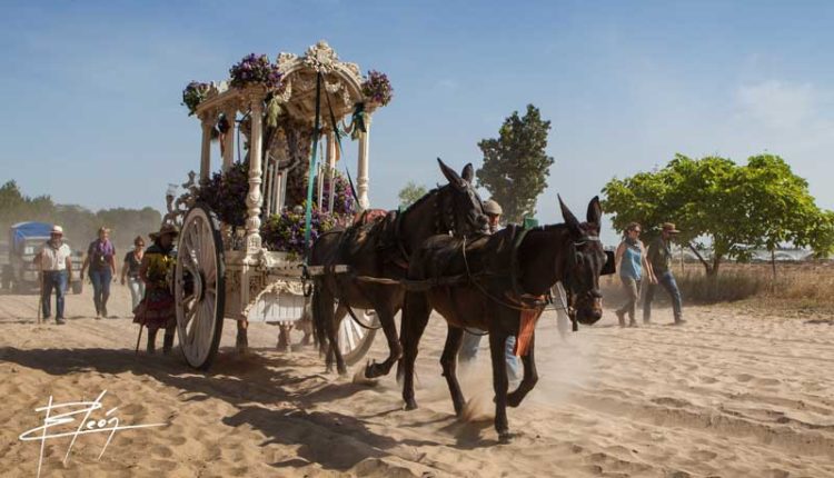 Peregrinaciones Extraordinarias de las Hermandades del Rocío del domingo 3 de diciembre de 2023