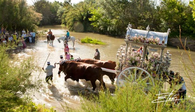 Peregrinaciones Extraordinarias de las Hermandades del Rocío del domingo 12 de noviembre 2023 – Misas en Directo