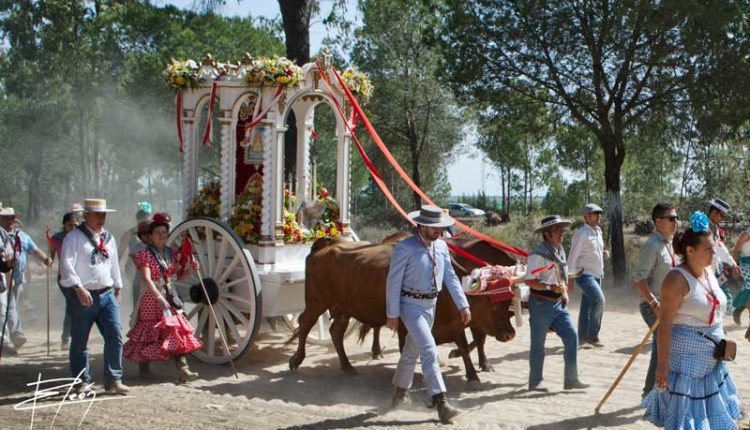 Peregrinaciones Extraordinarias de las Hermandades del Rocío del domingo 15 de diciembre 2024 – Misas en Directo