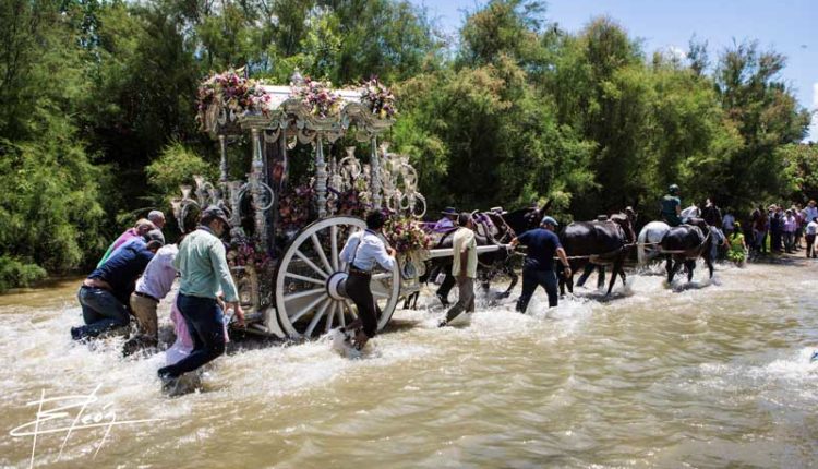 Peregrinaciones Extraordinarias de las Hermandades del Rocío del domingo 21 de enero de 2018