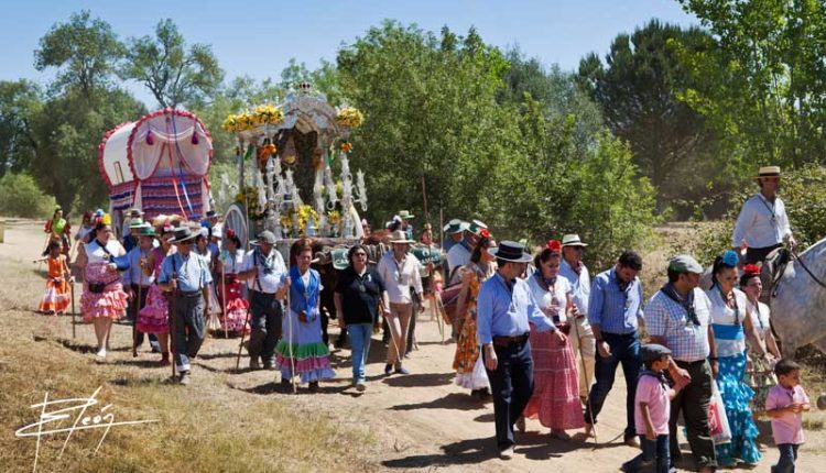 Peregrinaciones Extraordinarias de las Hermandades del Rocío del domingo 17 de diciembre de 2023 – Misas en Directo