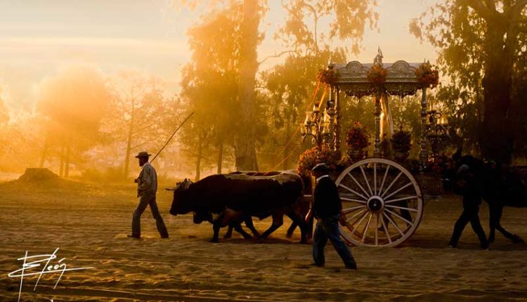 Peregrinaciones Extraordinarias de las Hermandades del Rocío del domingo 22 de diciembre de 2024