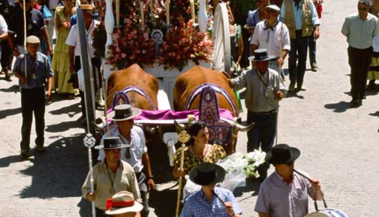 Salida de Hermandades al Rocío el domingo 13 de Mayo 2018