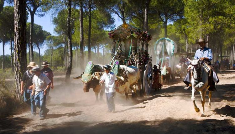 Peregrinaciones Extraordinarias de las Hermandades del Rocío del domingo 28 de enero de 2018