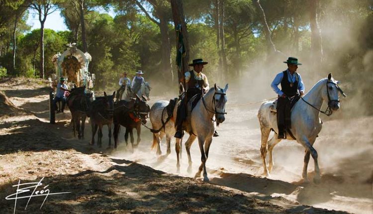 Peregrinaciones Extraordinarias de las Hermandades del Rocío del domingo 12 de enero de 2020