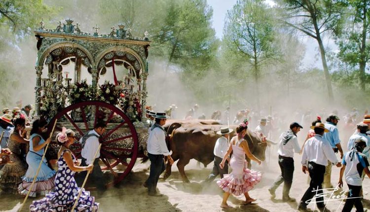 Peregrinaciones Extraordinarias de las Hermandades del Rocío del sábado 14 y domingo 15 de febrero de 2026 – MIsas en DIRECTO