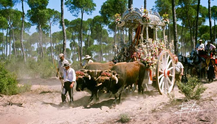Peregrinaciones Extraordinarias de las Hermandades del Rocío del miércoles 28 de febrero de 2018
