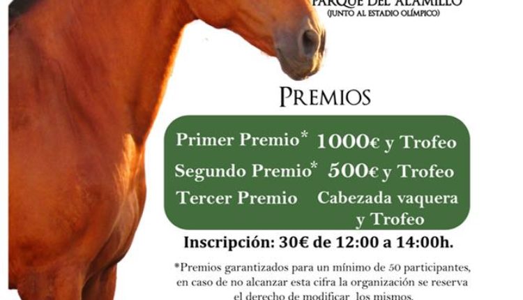 Hermandad de Sevilla Macarena – I Carrera de Cintas a Caballo