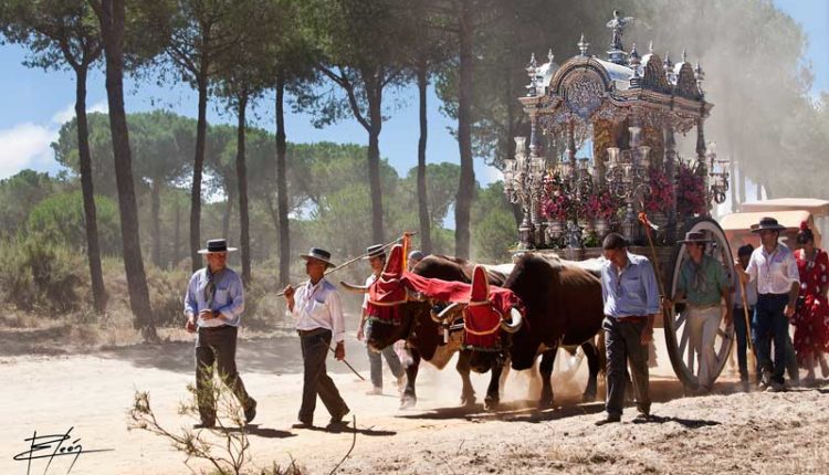 Salida de Hermandades al Rocío el jueves 17 de mayo 2018