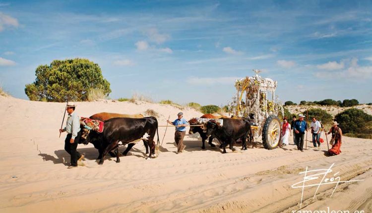 Peregrinaciones Extraordinarias de las Hermandades del Rocío del sábado 14 y domingo 15 de marzo de 2026 – Misas en Directo