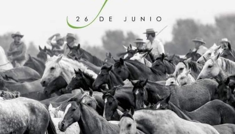 Saca de Yeguas en Almonte 2018