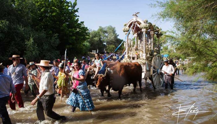 Peregrinaciones Extraordinarias Hermandades del Rocío del domingo 20 de enero de 2019