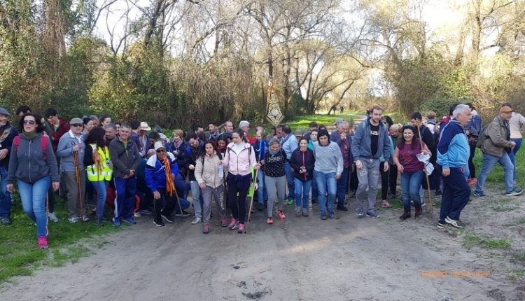 Hermandad de Emigrantes – Peregrinación Extraordinaria andando al Rocío, Fotos