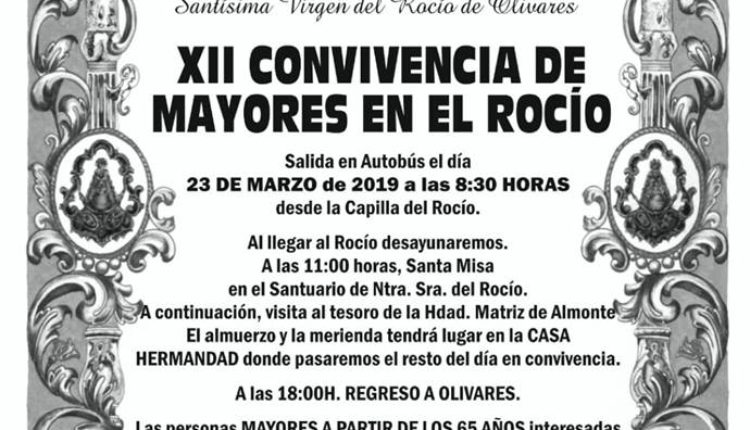 Hermandad de Olivares – XII Convivencia de Mayores