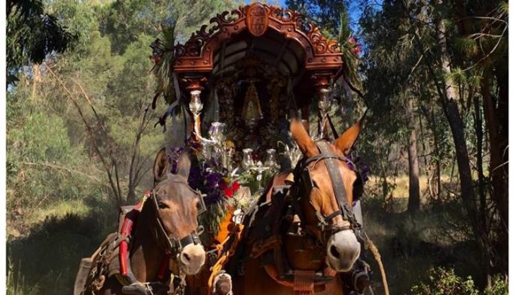 Hermandad de San Sebastián de los Reyes – Cartel de la Romería del Rocío 2019