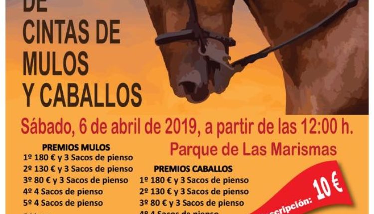 Hermandad de Los Palacios Villafranca – Carrera de Cintas