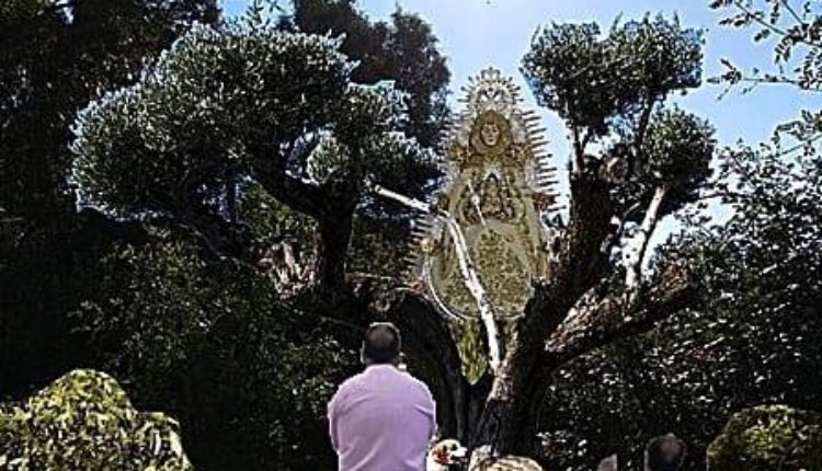 Hermandad de La Estrella de Madrid – Solemne Triduo y Pregón 2019 a cargo de D. David Carrasco Camacho