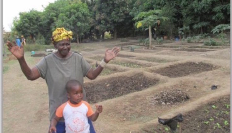 Ofrenda del Foro del Rocío 2019 – 1ª Propuesta, Pozo en Mali para una Coop. Agrícola de Mujeres
