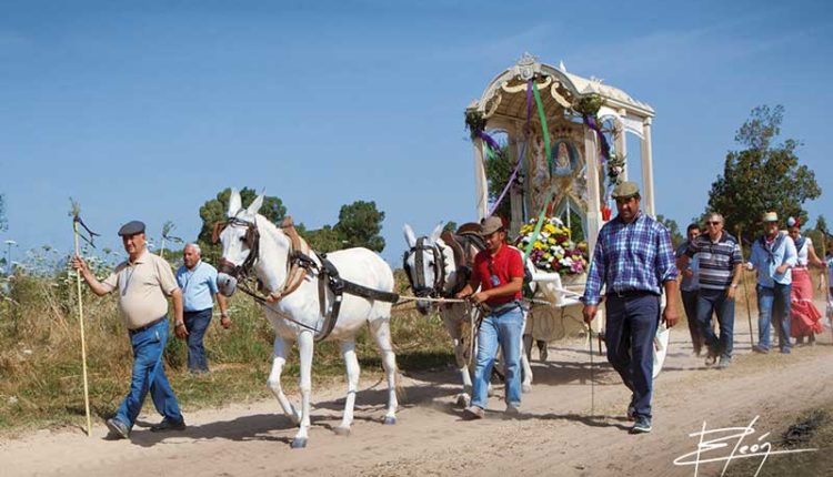 Peregrinaciones Extraordinarias de las Hermandades del Rocío del domingo 29 de septiembre de 2019