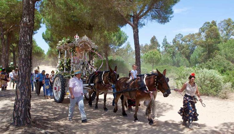 Peregrinaciones Extraordinarias de las Hermandades del Rocío del domingo 21 de septiembre de 2025 – Misas en Directo