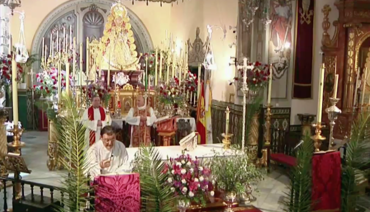 Santa Misa del Domingo de Ramos 2020 desde la Parroquia de la Asunción de Almonte
