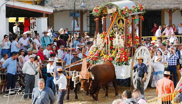Peregrinaciones Extraordinarias de las Hermandades del Rocío del domingo 13 de septiembre de 2020 – Misa en Directo