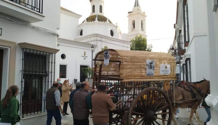 Hermandad Matriz – Resultados campaña solidaria «Mete el Hombro»