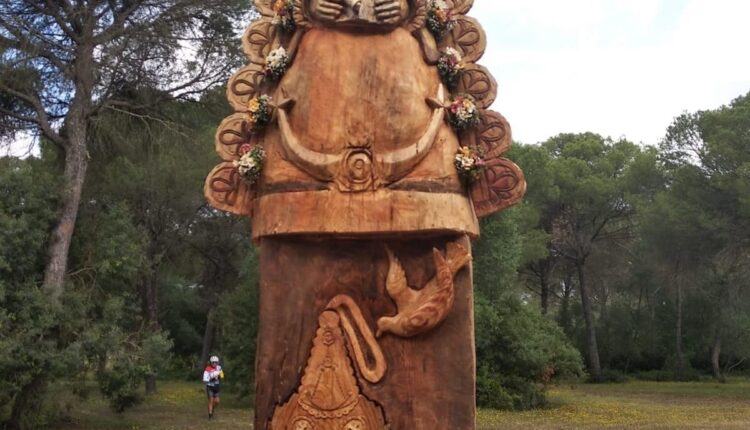 El pino de los mil duros se convierte en una imagen de la Virgen del Rocío