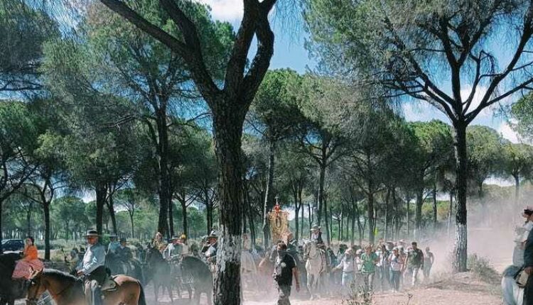 Momentos del Camino del Rocío 2022