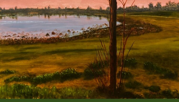Exposición – Doñana desde mi esquina