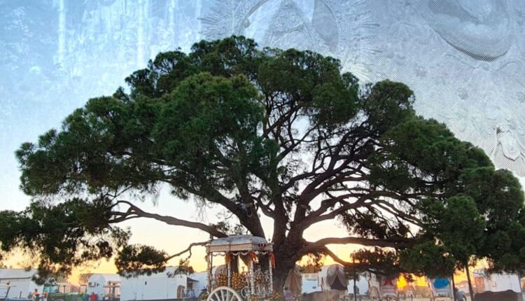 Coria del Rio – Peregrinación Extraordinaria con motivo de la conmemoración del 175 aniversario Fundacional